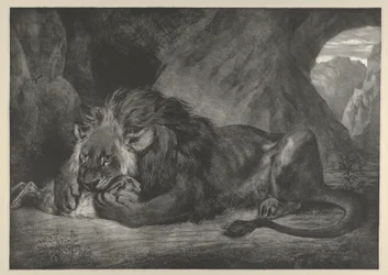 Löwe des Atlasgebirges