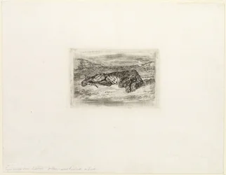 Tiger ruht in der Wüste