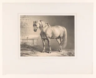 Pferd in einem Stall