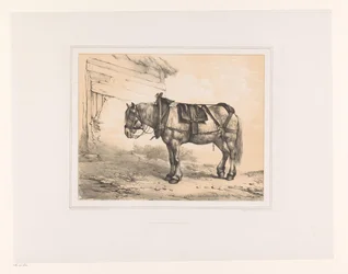 Pferd mit Sattel und Halfter