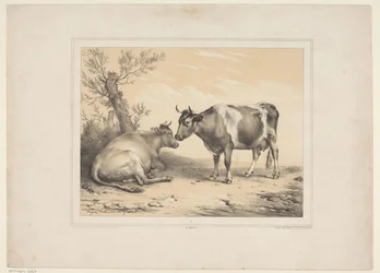 Zwei Kühe (Diverse zahme Tiere) (Treize sujets d