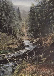 Luchon, Oberes Tal der Pique