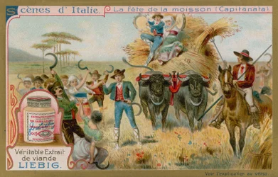 Erntefest in Capitanata