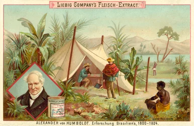 Alexander von Humboldts Expedition nach Südamerika, 1800-1804