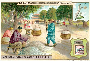 Alte chinesische Magnanerie, 2700 v. Chr.