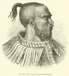 Maori-Häuptling, Neuseeland (Stich)