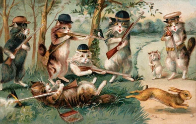 Komische Katzen auf der Jagd nach Kaninchen