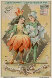 Feuerlilie und Glockenblume