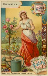 Gartenbau