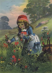 Rotkäppchen