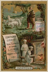 Lamm