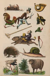 Seite aus dem Magischen Buch