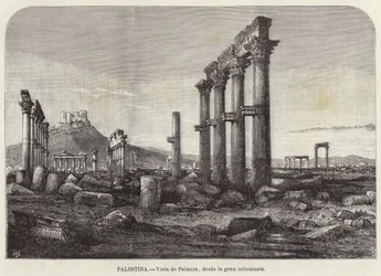 Palästina, Blick auf Palmyra von der großen Kolonnade aus