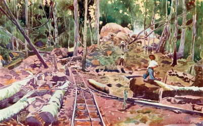 Durchdringen des Amazonaswaldes, Madeira-Mamore Eisenbahn