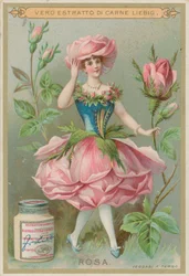 Rosenblumenmädchen