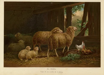Die Herde