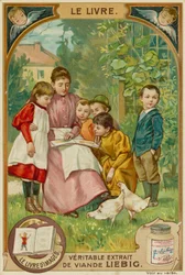 Das Bilderbuch