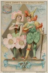 Wildrose und Kapuzinerkresse