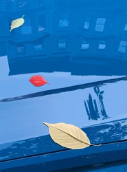 Gefallene Blätter auf blauem Auto, Brooklyn