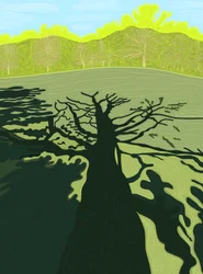 Schatten eines Baumes auf einem Feld, Brooklyn