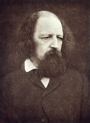 Porträt von Alfred, Lord Tennyson (1809-92), ca. 1889-91