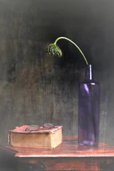 Verwelkte Blüte und Buch