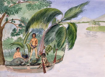 Manati-Jagd