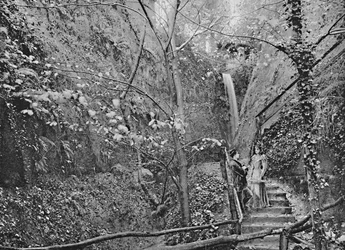 Shanklin Chine, um 1896
