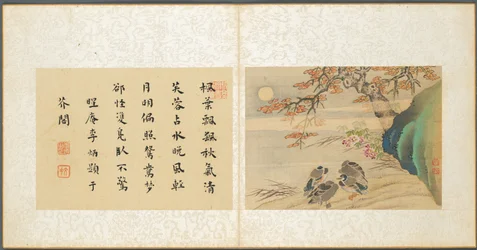 Album mit verschiedenen Themen, Blatt 8, 1600er Jahre