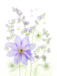 Zarte lavendelfarbene Blüten