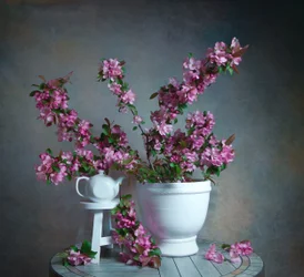 Elegantes Blumenstillleben