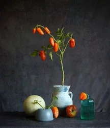Orange Tomaten, rustikales Stillleben