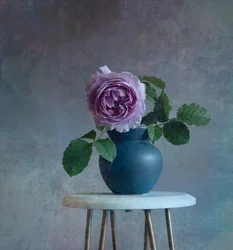 Heitere violette Rose