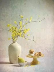 Gelbe Forsythienfreuden