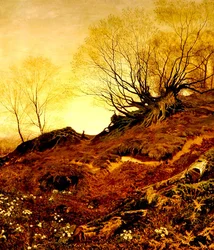 Auf dem Leith Hill, Surrey