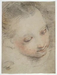 Kopf eines Mädchens, Studie für eine Figur im Altarbild Madonna del Popolo in den Uffizien