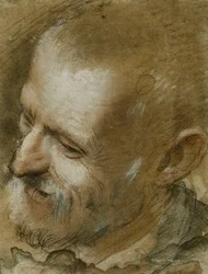 Studie des Kopfes eines bärtigen Mannes, nach links gedreht, 1590