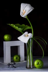 Calla-Lilien Grüne Äpfel