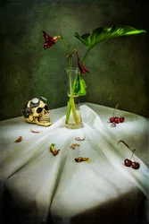 Gotischer Schädel-Vanitas