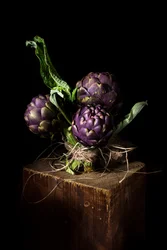 Lebendige violette Artischocken