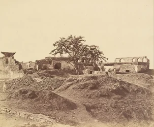 Pahoree bei Batterie
