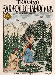 Inka-Reich: Inka-Bauern bei der Feldarbeit im Mai, Tuschzeichnung aus dem Manuskript 