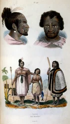 Anthropologische Illustration der Maori-Rasse