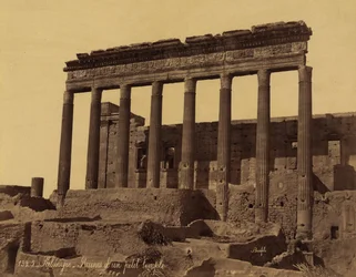 Freistehende Kolonnade vor einem Tempel in Palmyra, Syrien