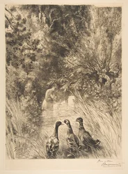 Überraschte Enten, 1882