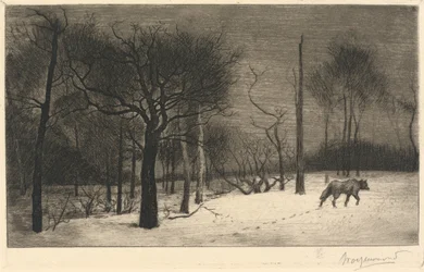 Winter
