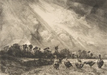 Die Gewitterwolke