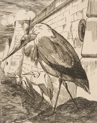 Die Störche