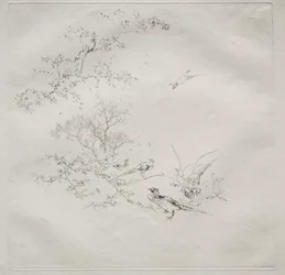 Pariser Service (Haviland-Service): Nebel (Nr. 1)
