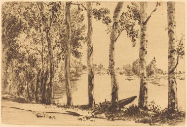 Pappeln entlang der Seine